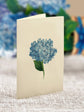 Mini Nantucket Hydrangeas (10 Pop-up Greeting Cards)