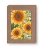 Sunflower Boxed Notecard - Set of 10