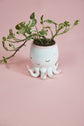 Open Arms Octopus Pot