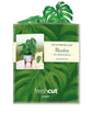 Mini Monstera Plant (10 Pop-up Greeting Cards)