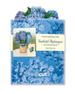 Mini Nantucket Hydrangeas (10 Pop-up Greeting Cards)