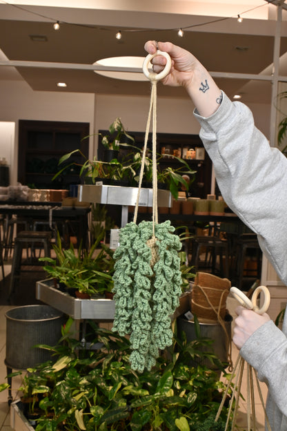 Hanging Crochet Plant