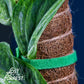 Reusable Plant Tape