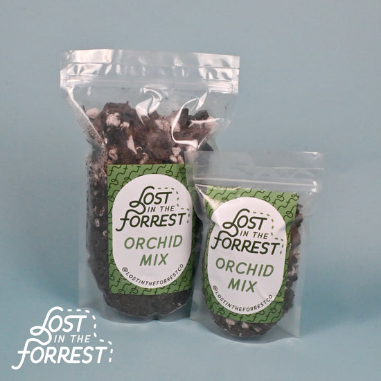 LITF Orchid Bark Mix with Charcoal