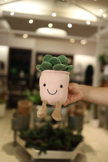 Potted Succulent Plush