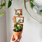 Wood Indoor Plant Trellis (Rectangle)