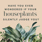 Houseplants and Their Fucked-Up Thoughts