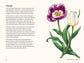 A Little Book of Flowers: Tulips