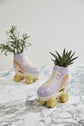 Rollerskate Planter